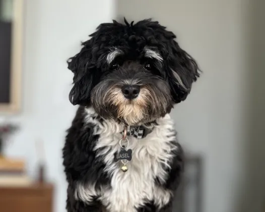 Basel, Chief Motivation Officer at Mach 1